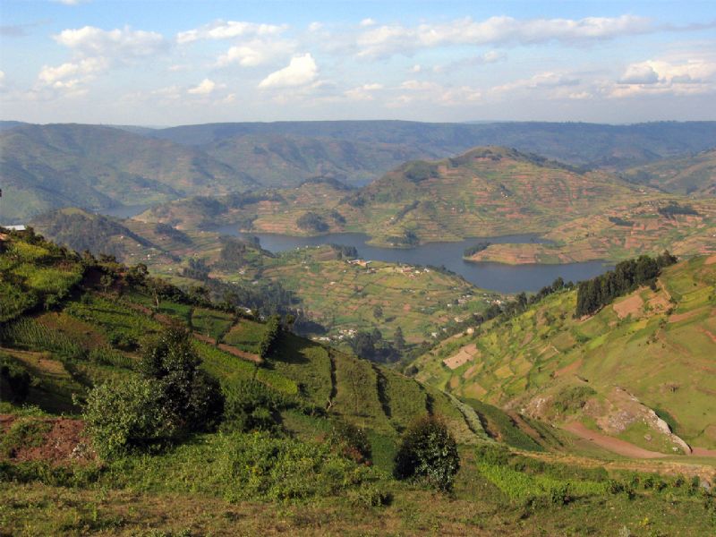 Birding through Uganda