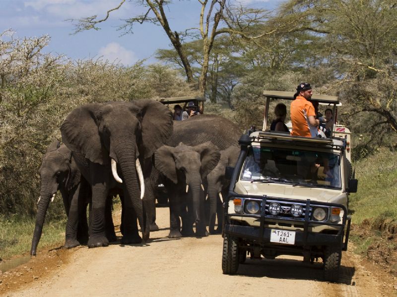 Best of Uganda, Rwanda & Tanzania (18 Days)