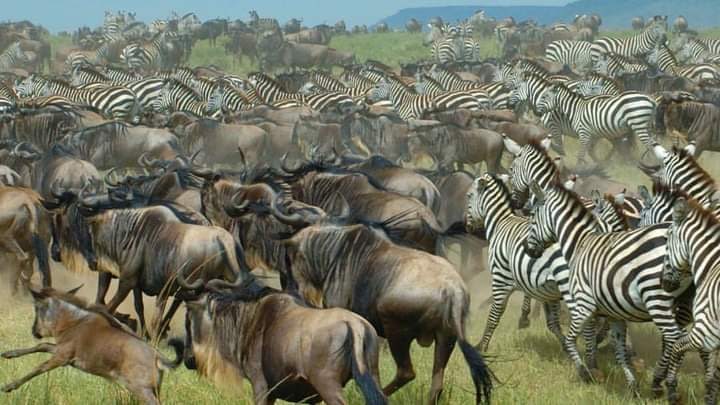 Complete Northern Circuit (14 days)