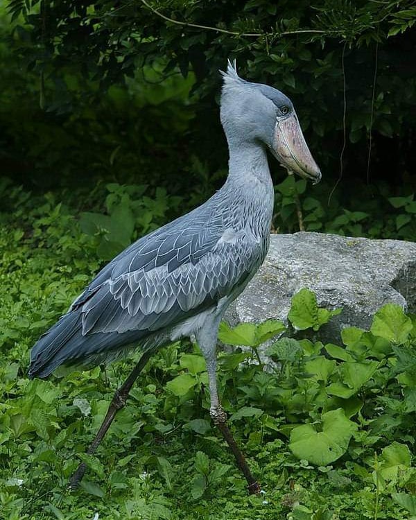 Complete Northern Circuit (14 days)