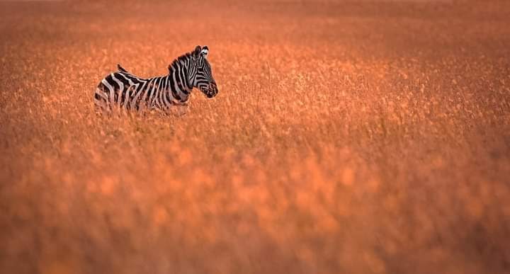 Complete Northern Circuit (14 days)