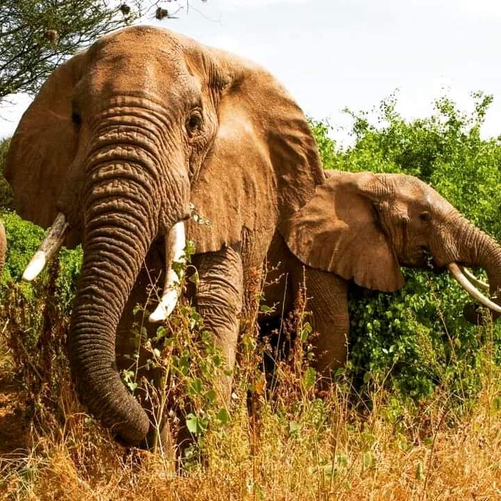 Complete Northern Circuit (14 days)