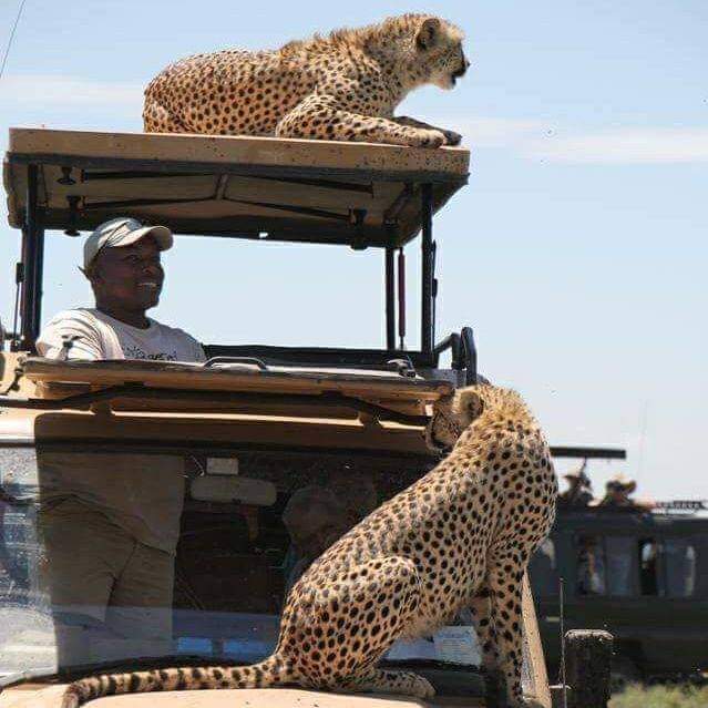 Complete Northern Circuit (14 days)