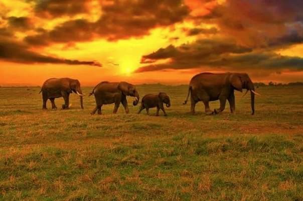 Complete Northern Circuit (14 days)