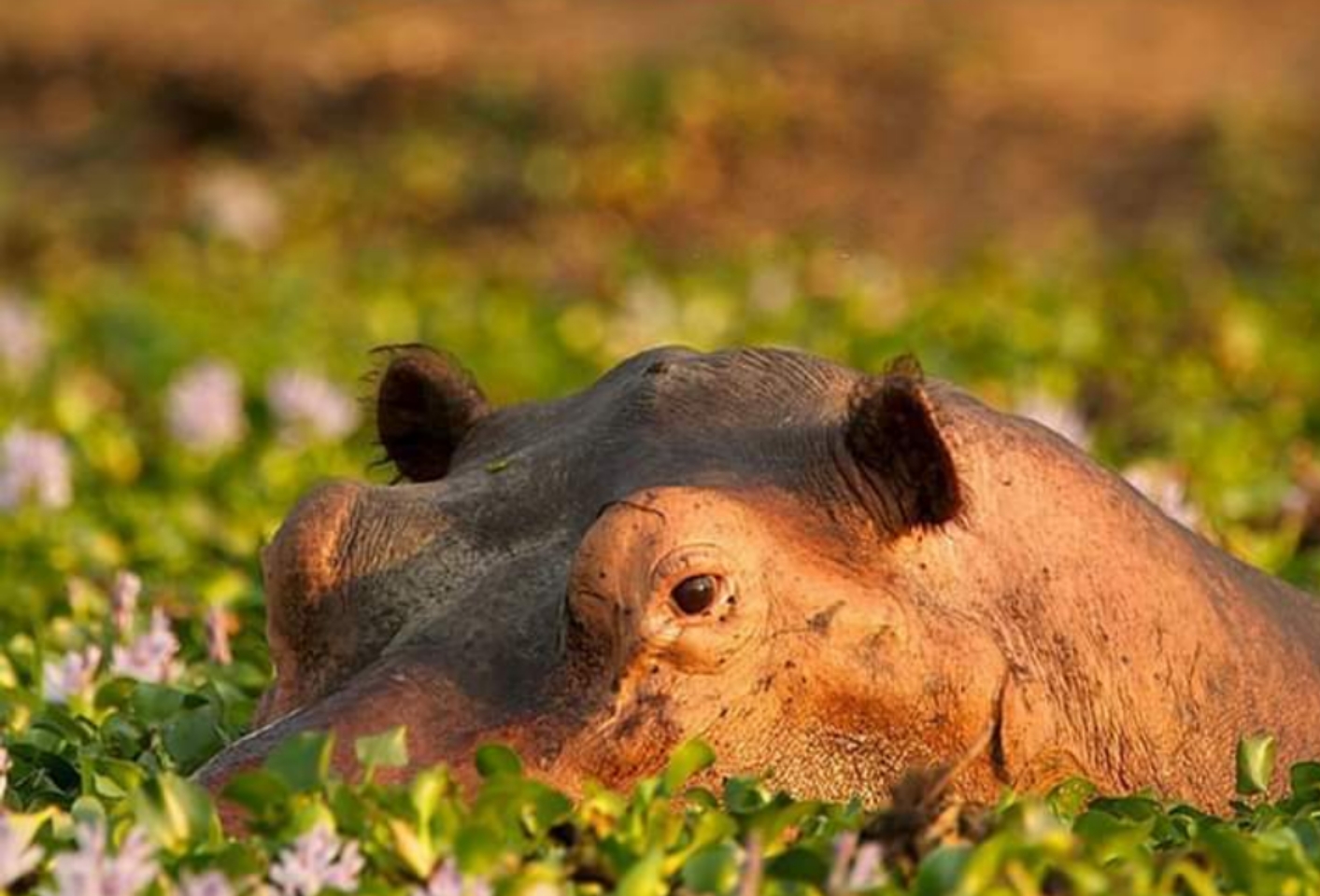 Complete Northern Circuit (14 days)